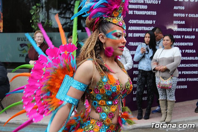 Desfile de Carnaval - Peas totaneras y forneas 2017 - 147