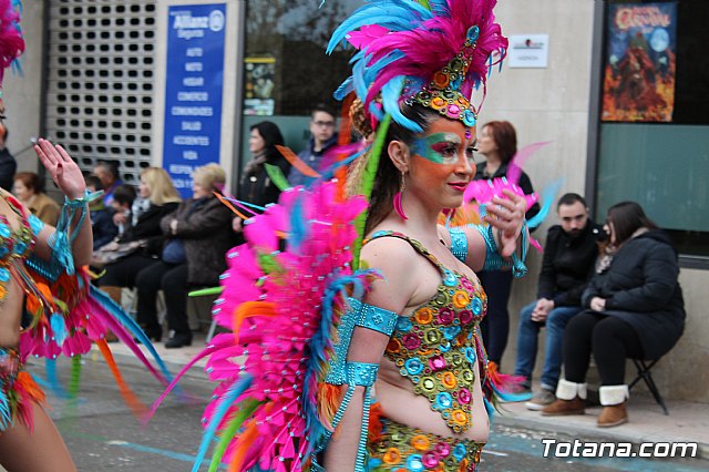 Desfile de Carnaval - Peas totaneras y forneas 2017 - 148