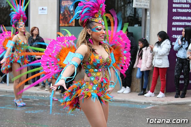 Desfile de Carnaval - Peas totaneras y forneas 2017 - 151