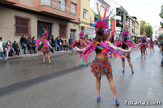 Desfile de Carnaval - Peas totaneras y forneas 2017 - 153