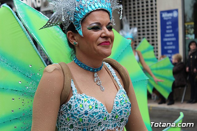 Desfile de Carnaval - Peas totaneras y forneas 2017 - 176