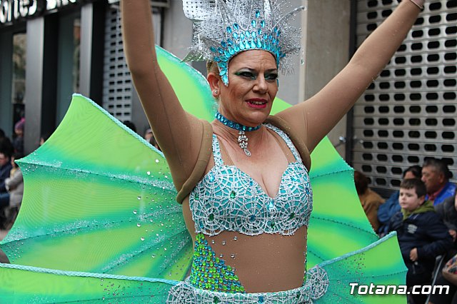 Desfile de Carnaval - Peas totaneras y forneas 2017 - 182