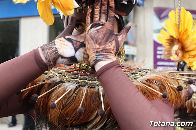 Desfile de Carnaval - Peas totaneras y forneas 2017 - 197