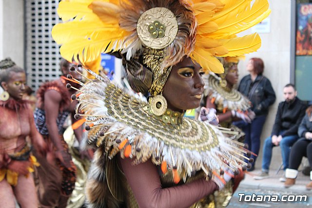 Desfile de Carnaval - Peas totaneras y forneas 2017 - 203