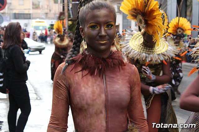 Desfile de Carnaval - Peas totaneras y forneas 2017 - 219
