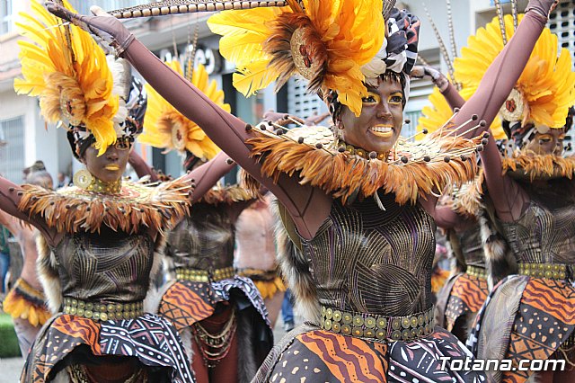 Desfile de Carnaval - Peas totaneras y forneas 2017 - 225
