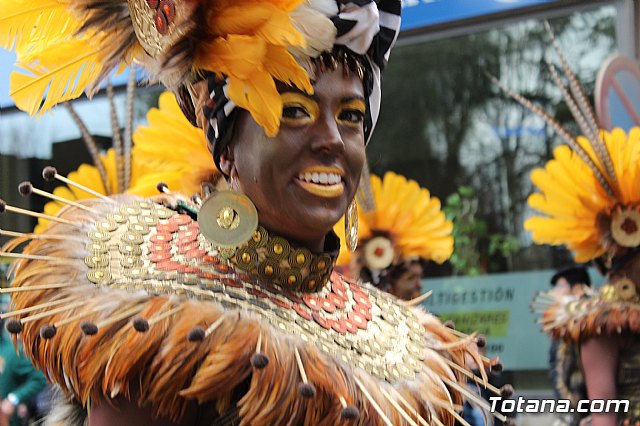 Desfile de Carnaval - Peas totaneras y forneas 2017 - 228