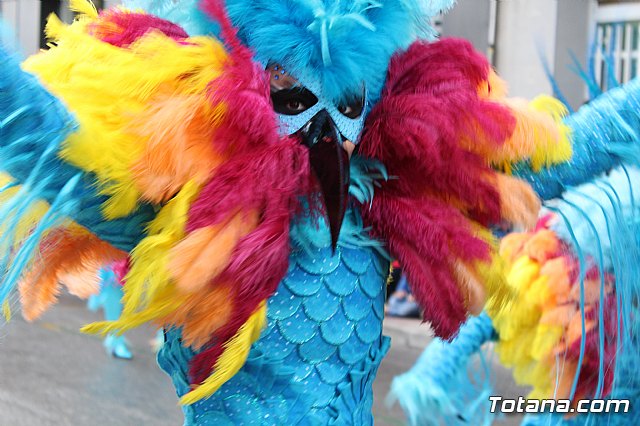 Desfile de Carnaval - Peas totaneras y forneas 2017 - 245