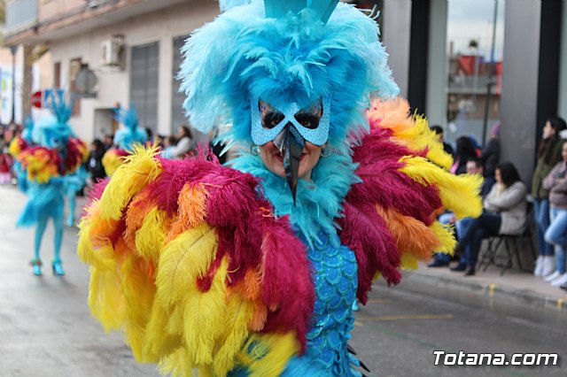 Desfile de Carnaval - Peas totaneras y forneas 2017 - 246