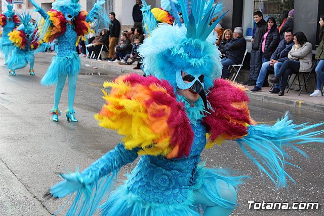 Desfile de Carnaval - Peas totaneras y forneas 2017 - 248