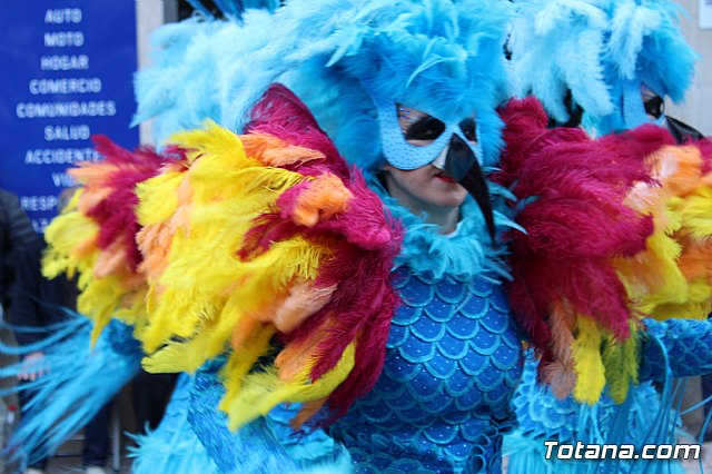 Desfile de Carnaval - Peas totaneras y forneas 2017 - 251