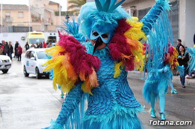Desfile de Carnaval - Peas totaneras y forneas 2017 - 253