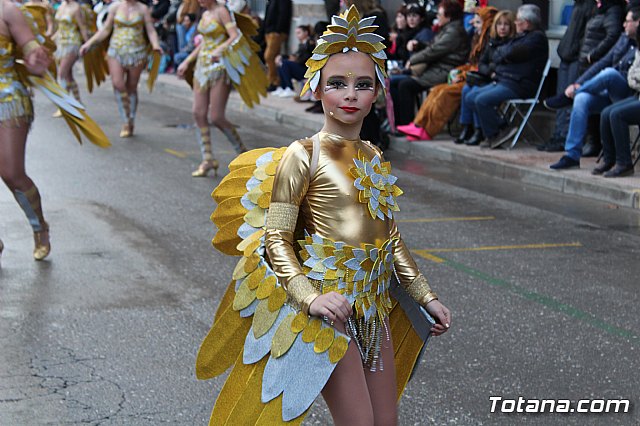 Desfile de Carnaval - Peas totaneras y forneas 2017 - 261