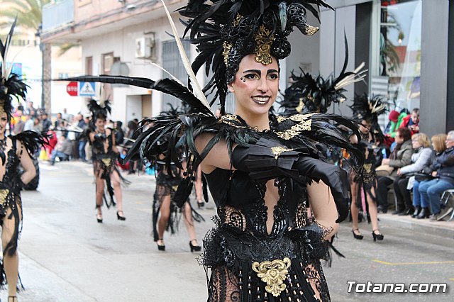 Desfile de Carnaval - Peas totaneras y forneas 2017 - 293