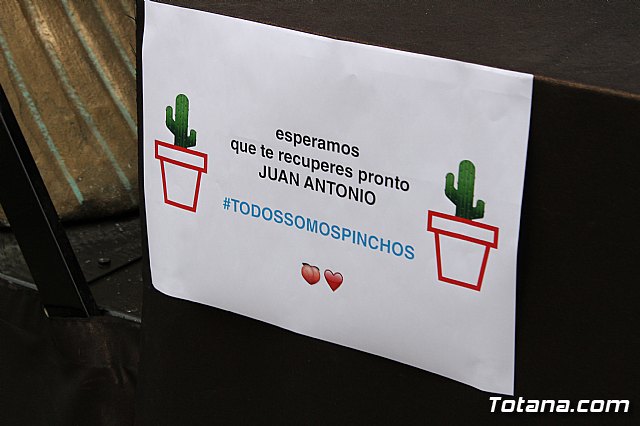 Desfile de Carnaval - Peas totaneras y forneas 2017 - 317