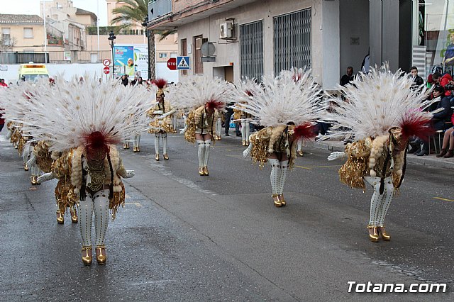 Desfile de Carnaval - Peas totaneras y forneas 2017 - 333