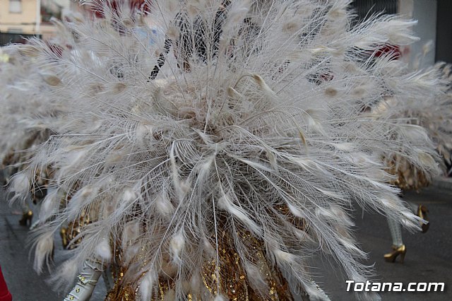 Desfile de Carnaval - Peas totaneras y forneas 2017 - 335