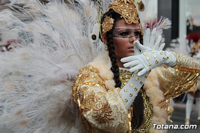 Desfile de Carnaval - Peas totaneras y forneas 2017 - 338
