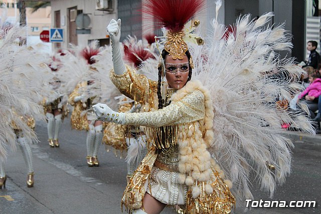 Desfile de Carnaval - Peas totaneras y forneas 2017 - 341