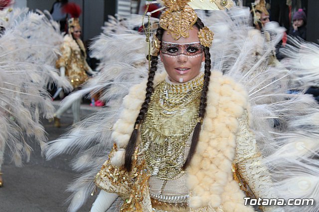Desfile de Carnaval - Peas totaneras y forneas 2017 - 352
