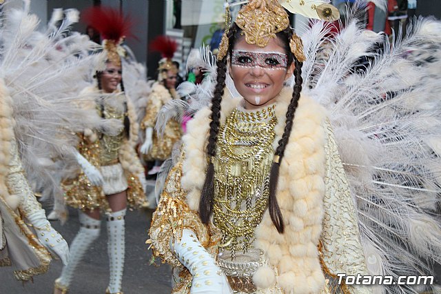 Desfile de Carnaval - Peas totaneras y forneas 2017 - 353