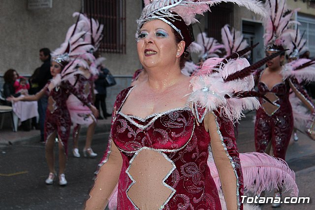 Desfile de Carnaval - Peas totaneras y forneas 2017 - 433