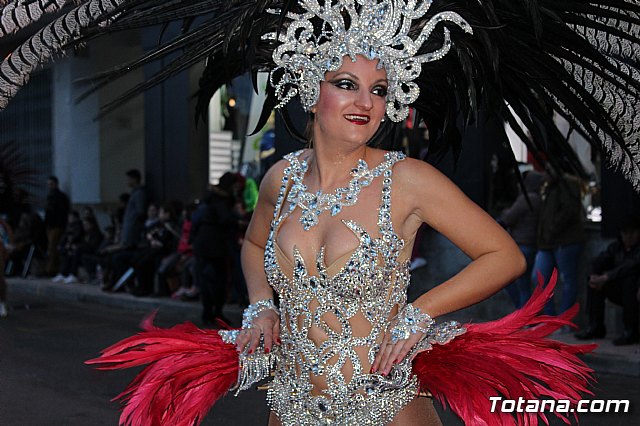Desfile de Carnaval - Peñas totaneras y foráneas 2017 - 461