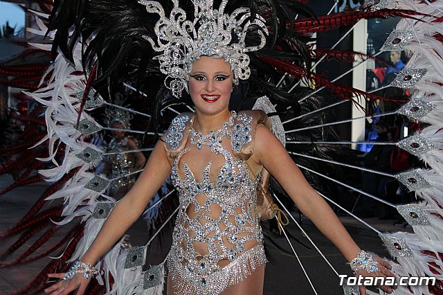 Desfile de Carnaval - Peas totaneras y forneas 2017 - 473