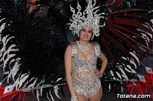 Desfile de Carnaval - Peñas totaneras y foráneas 2017 - 482