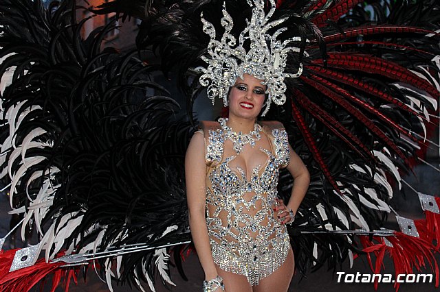 Desfile de Carnaval - Peas totaneras y forneas 2017 - 482