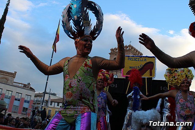 Desfile Carnaval de Totana 2018 - 228