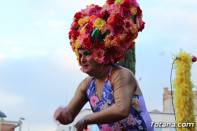 Desfile Carnaval de Totana 2018 - 232