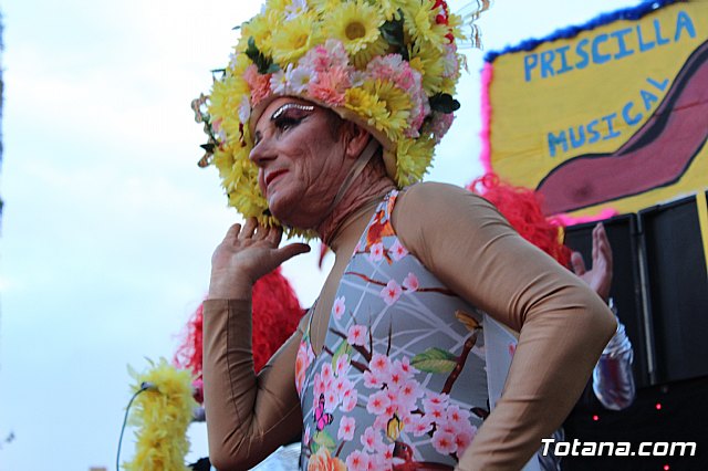 Desfile Carnaval de Totana 2018 - 233