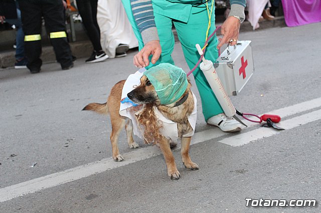 Desfile Carnaval de Totana 2018 - 423