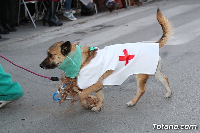 Desfile Carnaval de Totana 2018 - 428