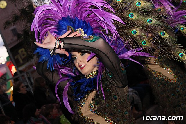 Desfile Carnaval de Totana 2018 - 481