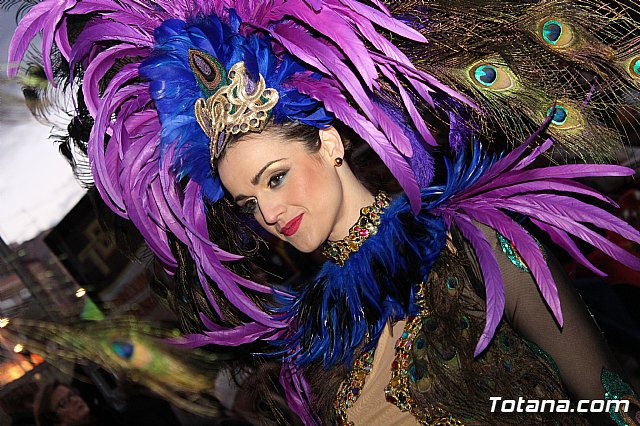 Desfile Carnaval de Totana 2018 - 482