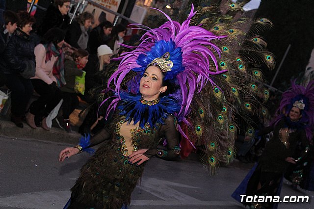 Desfile Carnaval de Totana 2018 - 490