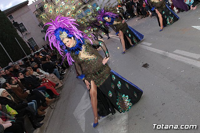 Desfile Carnaval de Totana 2018 - 494