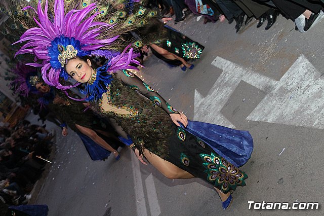 Desfile Carnaval de Totana 2018 - 497