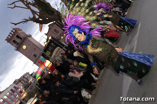 Desfile Carnaval de Totana 2018 - 498