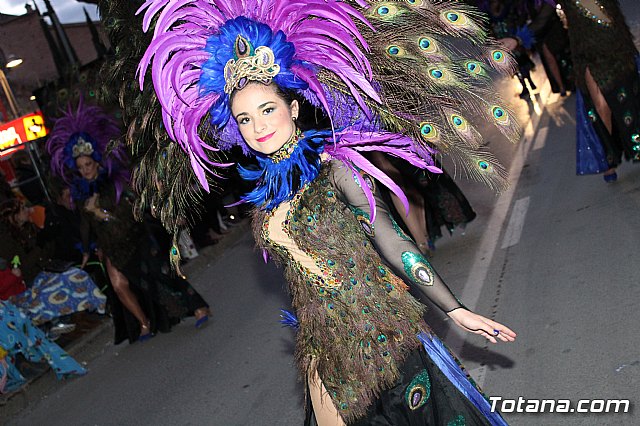 Desfile Carnaval de Totana 2018 - 501