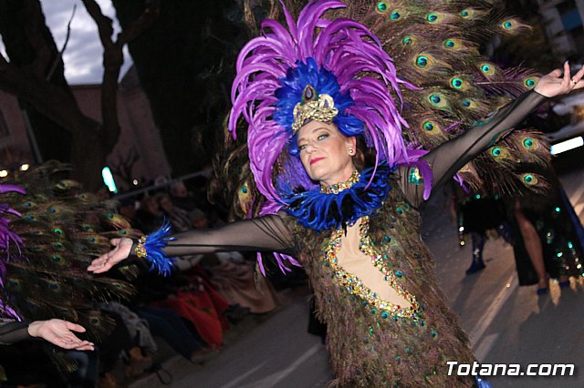 Desfile Carnaval de Totana 2018 - 503
