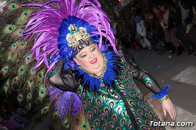 Desfile Carnaval de Totana 2018 - 504