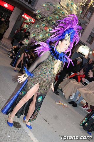Desfile Carnaval de Totana 2018 - 506
