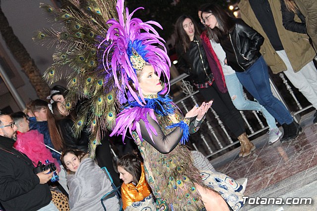 Desfile Carnaval de Totana 2018 - 508