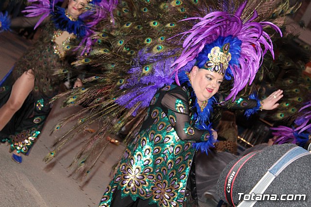 Desfile Carnaval de Totana 2018 - 511