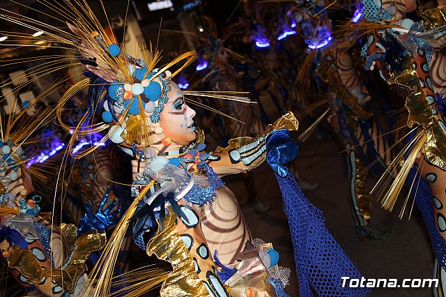 Desfile Carnaval de Totana 2018 - 660