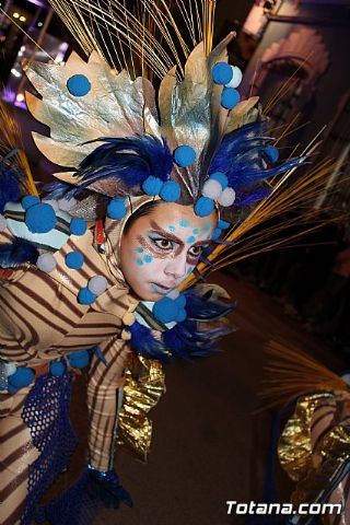 Desfile Carnaval de Totana 2018 - 675