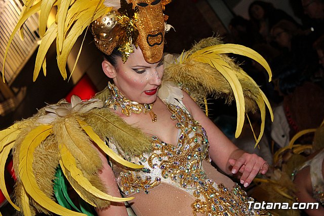Desfile Carnaval de Totana 2018 - 757